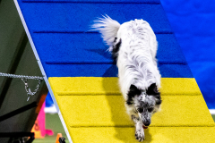 2023-AADTC-April-Trial-461