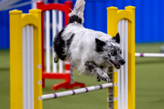 2023-AADTC-April-Trial-462