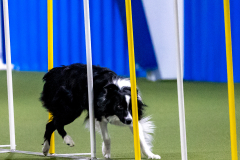 2023-AADTC-April-Trial-463