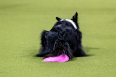 2023-AADTC-April-Trial-466