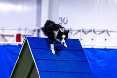 2023-AADTC-April-Trial-467