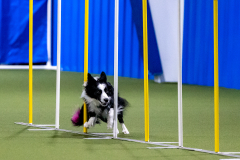 2023-AADTC-April-Trial-468