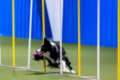 2023-AADTC-April-Trial-469