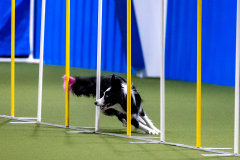 2023-AADTC-April-Trial-471