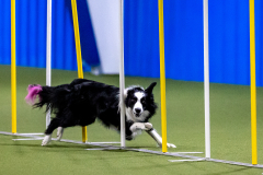 2023-AADTC-April-Trial-472