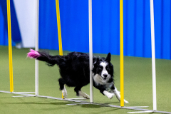 2023-AADTC-April-Trial-473