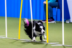 2023-AADTC-April-Trial-474