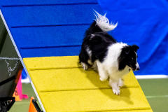 2023-AADTC-April-Trial-476