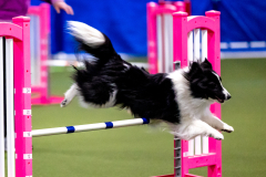 2023-AADTC-April-Trial-477