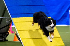 2023-AADTC-April-Trial-480