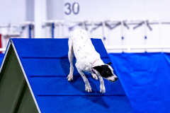 2023-AADTC-April-Trial-483