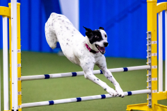 2023-AADTC-April-Trial-484