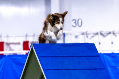 2023-AADTC-April-Trial-485