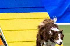 2023-AADTC-April-Trial-486