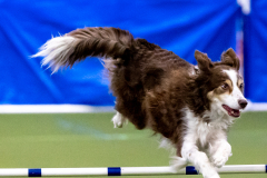 2023-AADTC-April-Trial-487