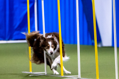 2023-AADTC-April-Trial-488