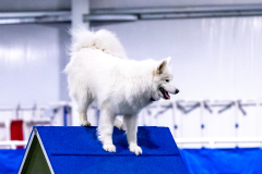 2023-AADTC-April-Trial-494