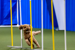 2023-AADTC-April-Trial-496