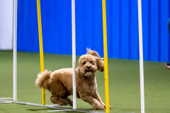 2023-AADTC-April-Trial-499