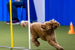 2023-AADTC-April-Trial-501