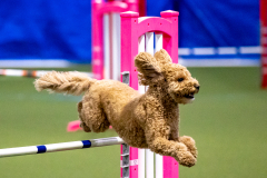 2023-AADTC-April-Trial-502