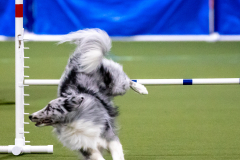 2023-AADTC-April-Trial-504