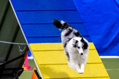 2023-AADTC-April-Trial-507