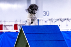 2023-AADTC-April-Trial-508