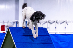 2023-AADTC-April-Trial-509