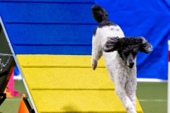 2023-AADTC-April-Trial-510