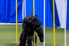 2023-AADTC-April-Trial-511