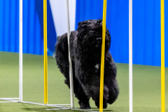 2023-AADTC-April-Trial-513