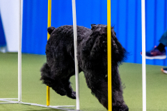 2023-AADTC-April-Trial-514