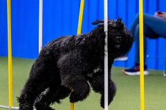 2023-AADTC-April-Trial-515