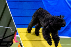 2023-AADTC-April-Trial-519