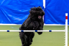 2023-AADTC-April-Trial-520