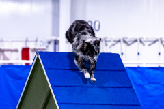 2023-AADTC-April-Trial-522