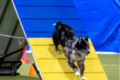 2023-AADTC-April-Trial-523