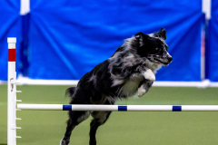 2023-AADTC-April-Trial-524