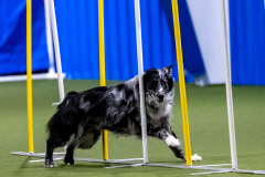 2023-AADTC-April-Trial-525