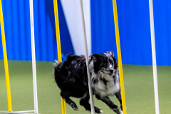 2023-AADTC-April-Trial-526