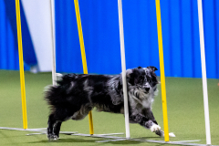 2023-AADTC-April-Trial-527