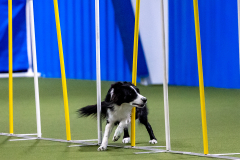 2023-AADTC-April-Trial-532