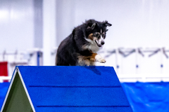 2023-AADTC-April-Trial-536