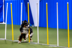 2023-AADTC-April-Trial-540