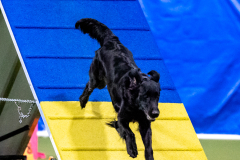 2023-AADTC-April-Trial-544