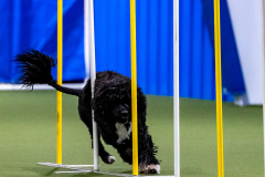 2023-AADTC-April-Trial-545