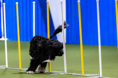 2023-AADTC-April-Trial-547