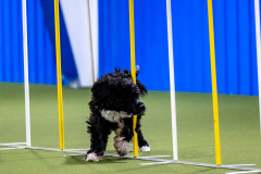 2023-AADTC-April-Trial-548