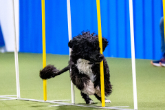 2023-AADTC-April-Trial-549